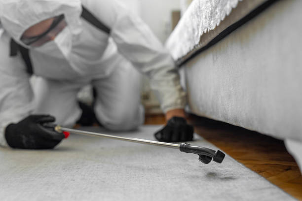 Professional Bed Bug Control technician working in Robertsville, NJ