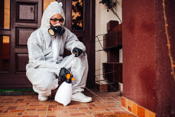 Reliable Bed Bug Control contractor in Robertsville, NJ by Nex Pest Control