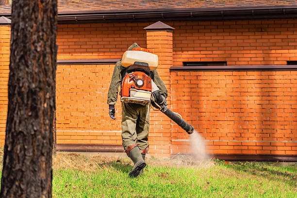 Trusted Emergency Pest Control service in Robertsville, NJ - Nex Pest Control